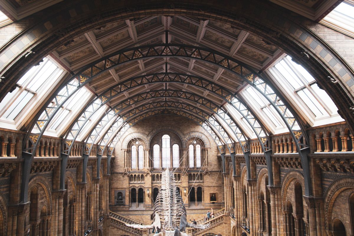 The vaulted glass-and-iron ceiling and arched stone galleries of a grand museum hall, light pouring through the skylights.