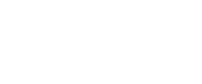 Vertex Systems logo